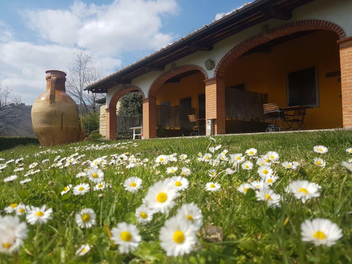 Il Pillone * Montecatini Terme